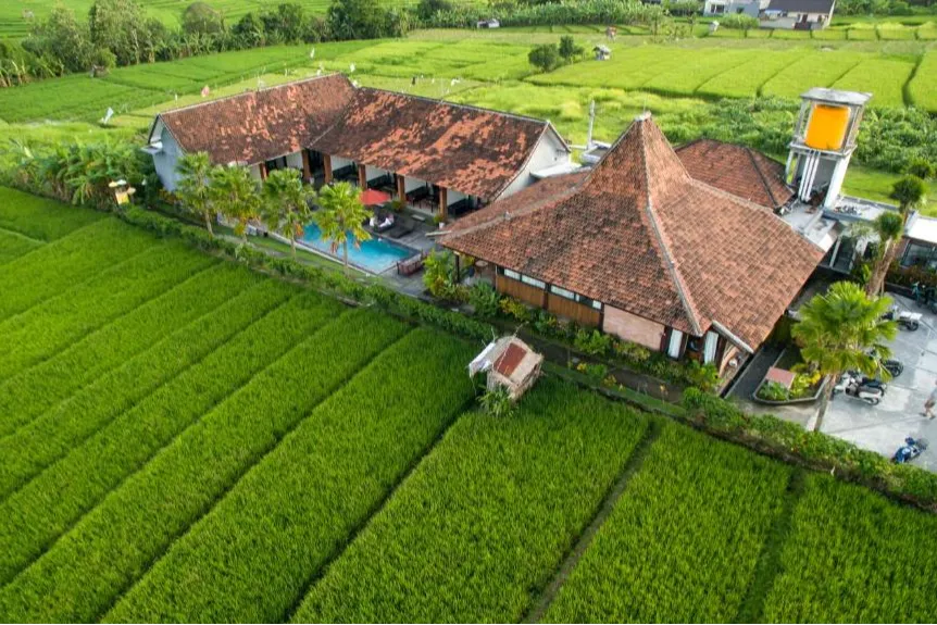 Bali, in a quieter version — Kampung Canggu