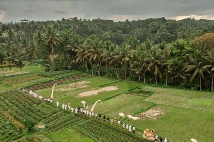 Experience the tranquility of Pangsan now!