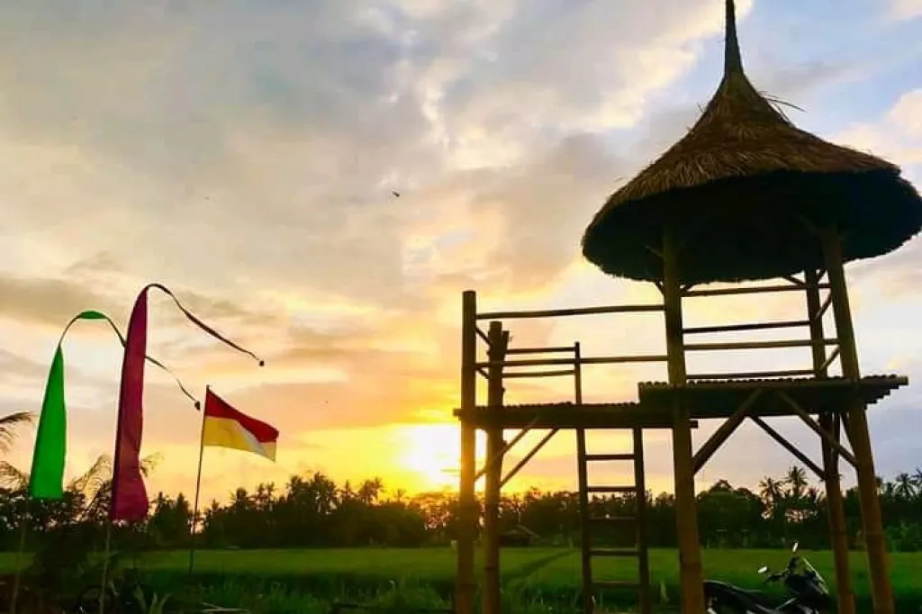 Fresh air and rice field views in Baha Tourism Vil