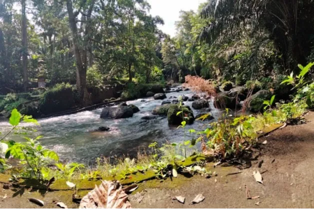 Hidden gem of Bali? Try visiting Dauh Yeh Cani!