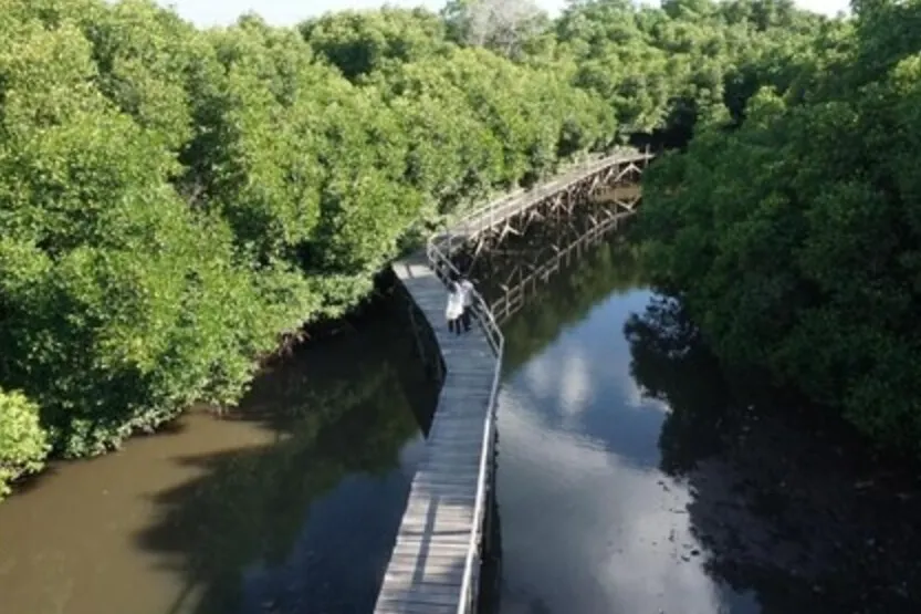 Mangrove Forest Recreation Park, Tanjung Benoa