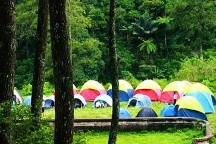 Nature at Blahkiuh Campsite