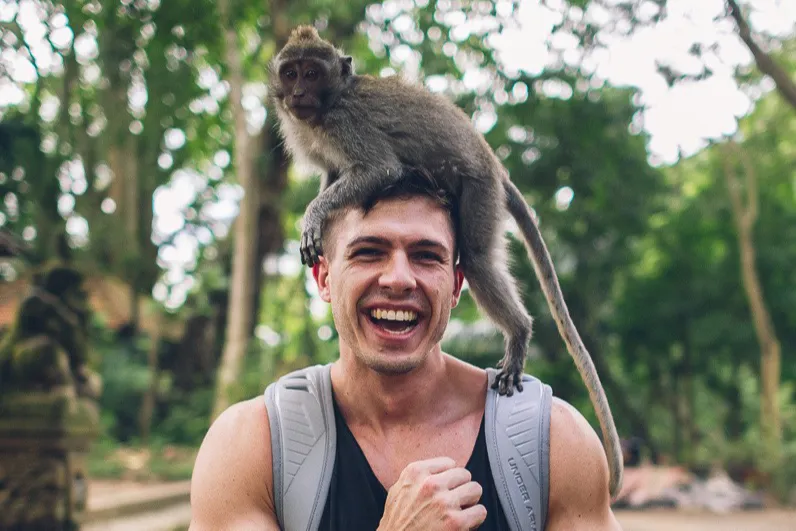 sangeh monkey forest