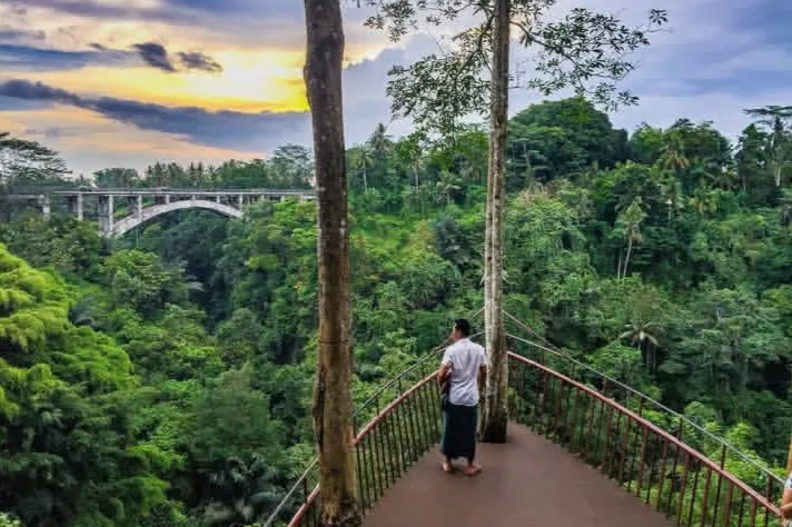 tanah wuk