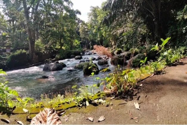 Hidden gem Bali? Coba main ke Dauh Yeh Cani!