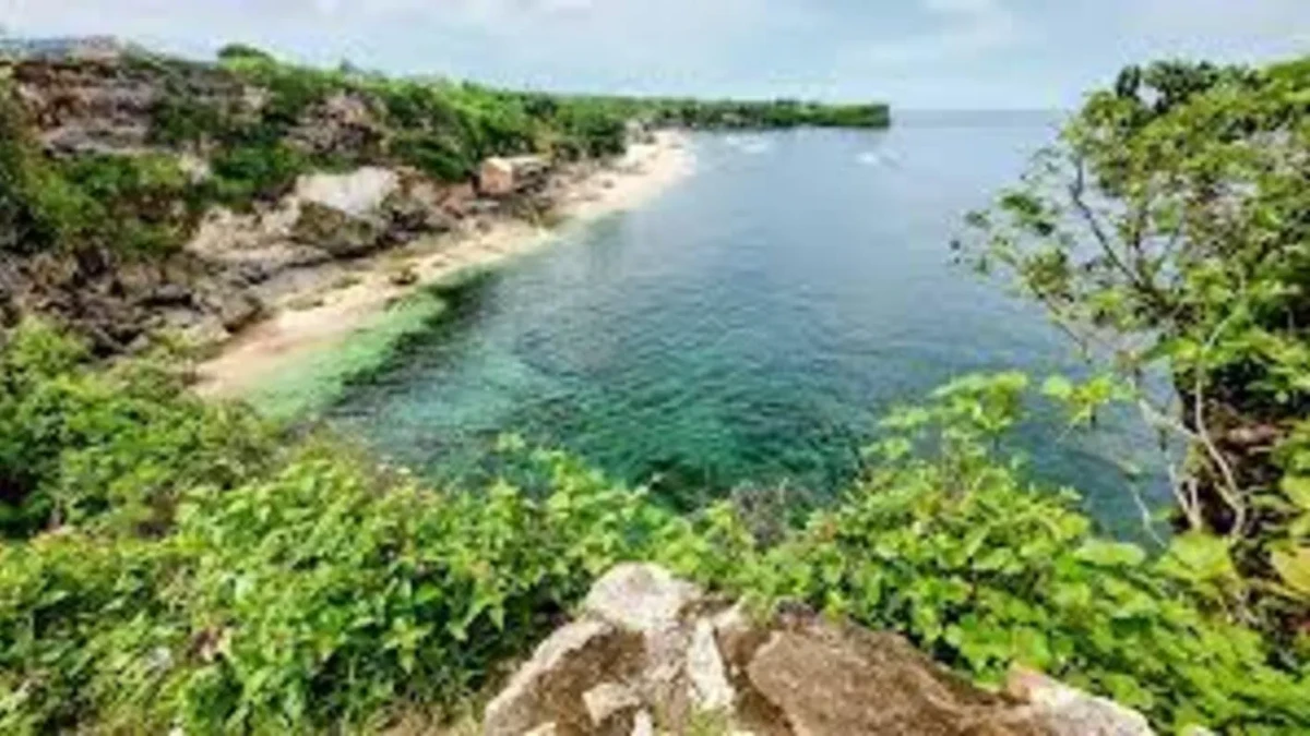 BALANGAN 3