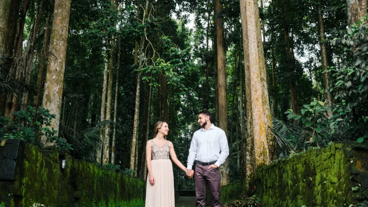 monkey forest sangeh