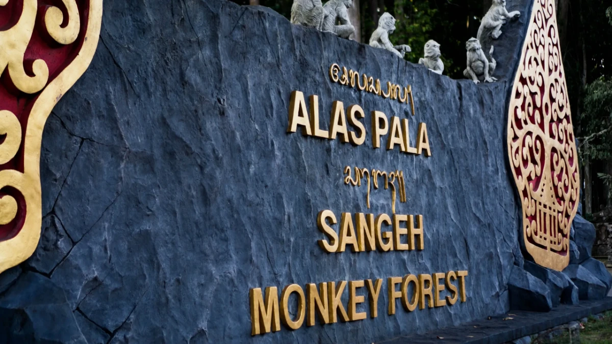 monkey forest sangeh