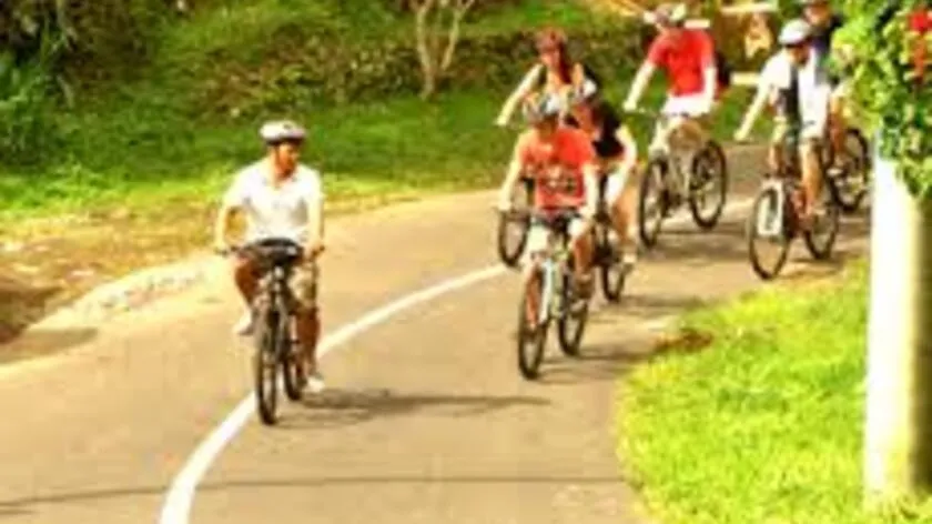 pangsan 3