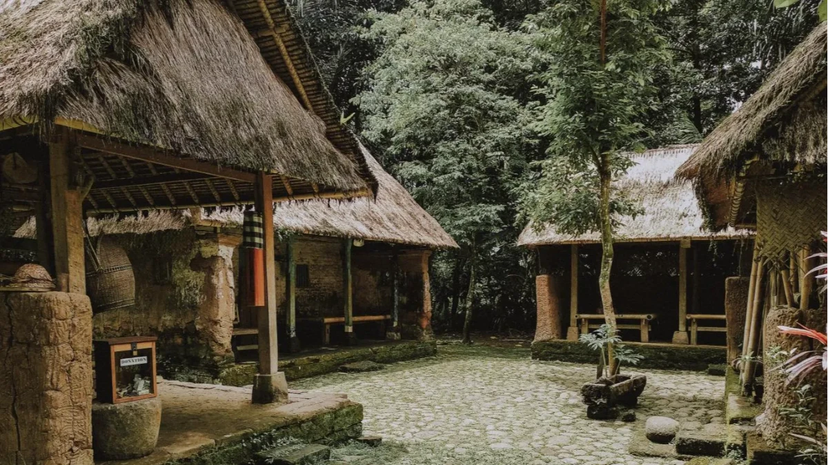 sangeh 4