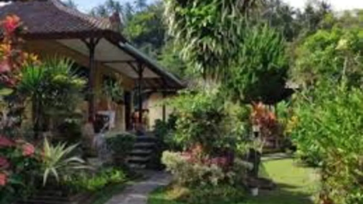 sulangai 1