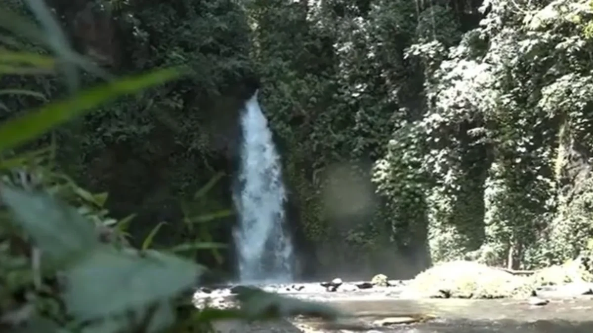 sulangai 2