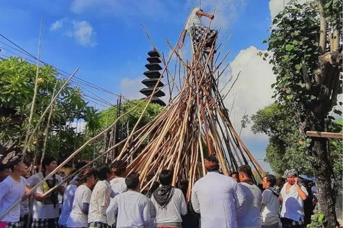 Tradisi hidup, alam lestari itulah Munggu
